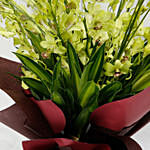 10 Green Mokara Orchids Bouquet