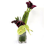 Exotic Calla Lilies and Anthurium Arrangement