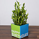 3 Layer Bamboo Plant and Chocolates For Birthday