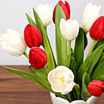 Red and White Tulips