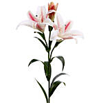 Artificial Pink and White Lily Stems