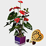 Red Anthurium Plant and Godiva Chocolates