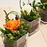 Set Of 3 Rose Vase Arrangements