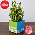Birthday Special Bamboo Plant and Free Mono Cake