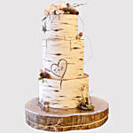 Pretty 3 Layered Engagement Vanilla Cake