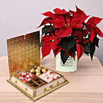 Scrumptious Chocolates and Poinsettia Plant Combo