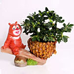 Azalea Plant In Bear Design Pot