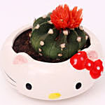 Cactus In Hello Kitty Ceramic Pot