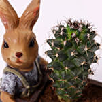 Cactus Plant in Rabbit Cart Pot