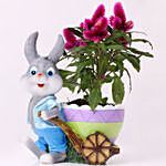 Celosia Plant in Rabbit Cart Pot