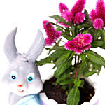 Celosia Plant in Rabbit Cart Pot