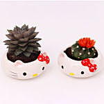 Echeveria and Cactus in Hello Kitty Pot