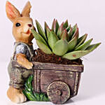 Echeveria Plant In Rabbit Cart Pot