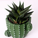 Gaster Haworthia in Cactus Design Pot