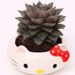 Hello Kitty Pot of Echeveria Plant