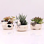 Set of 3 Plants in Animal Design Pots