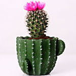 Artificial Flower Cactus in Cactus Design Pot