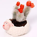 Attractive Cactus In Sheep Design Pot