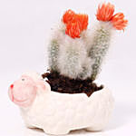 Attractive Cactus In Sheep Design Pot