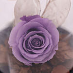 Purple Forever Rose In Glass Dome