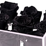 9 Forever Black Roses