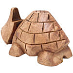 Tortoise Shaped Eyeglass Holder