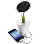 Rechargeable Solar Sunflower