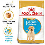 Breed Health Nutrition Labrador Puppy 3 Kg