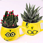 Cactus and Haworthia In Smiley Pots