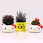 Succulents In Cute Ceramic Pots