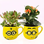 Crassula and Kalanchoe Plants in Emoticon Mugs