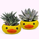 Frog Face Pots with Plants