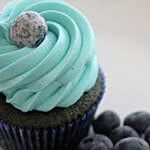 Blueberry Swirl And Chocolate Cup Cake 6pcs