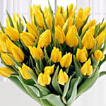 Yellow Tulips Bunch