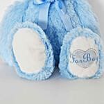 Sky Blue Teddy Bear