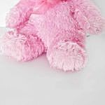 Soft and Fully Pink Teddy
