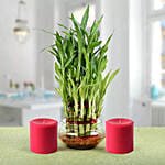 Three Layer Lucky Bamboo Plant N Candles