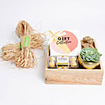 Cute Succulent & Detox Tea Gift Collection