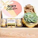 Cute Succulent & Detox Tea Gift Collection