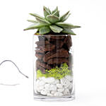 Flowery Succulent In Glass Vase