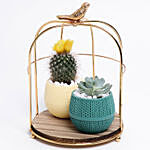 Lovely Flowery Cactus & Succulent In A Cage