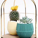 Lovely Flowery Cactus & Succulent In A Cage