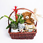 Plants With Teddy Bear & Mug Gift Basket