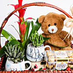 Plants With Teddy Bear & Mug Gift Basket