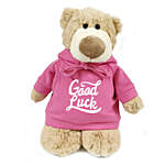 Soft Mascot Bear With Pink Good Luck Hoodie
