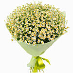 Chamomile Hand Tied Bouquet