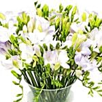 Pure White Freesias Vase