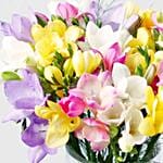 Sunny Freesia Mix