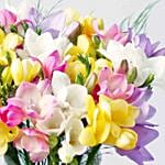 Sunny Freesia Mix