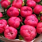 Young Love Peony Bouquet